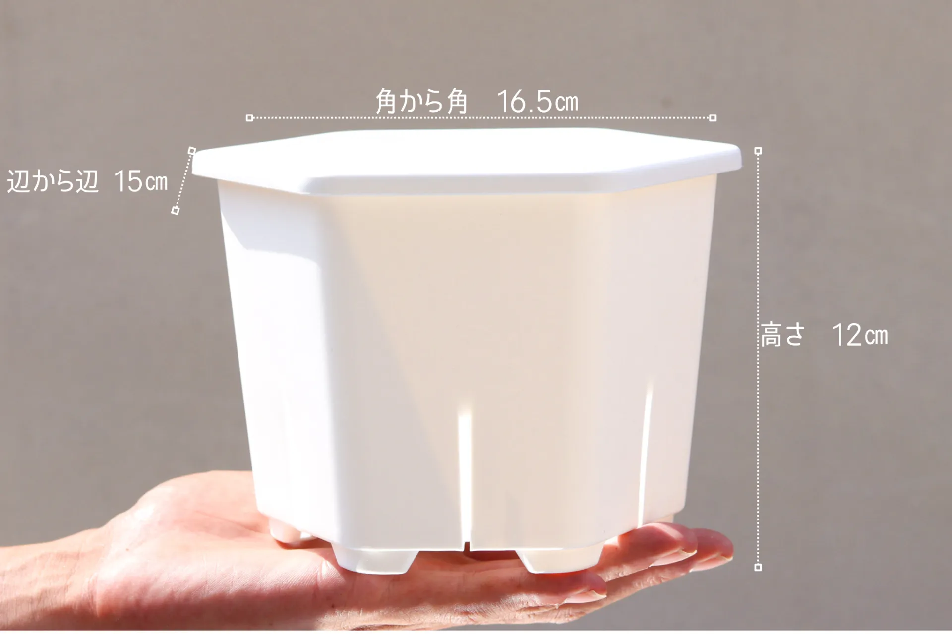 5号鉢 HexaPot 白